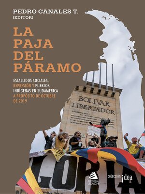cover image of La paja del páramo
